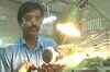 Budget to boost manufacturing sector: Anand Sharma