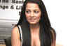 Celina Jaitley blessed with twins