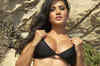 Sunny Leone signs 'Ragini MMS' sequel