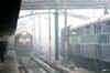 Cold wave grips Delhi; Flights, trains cancelled