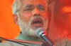 Modi likens Rahul to small fish