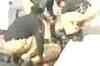Sri Lankan cricket team attacked in Pakistan