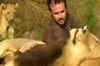 Watch: A man in the company of lions