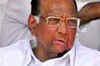 Pawar pressurising Congress to go soft?
