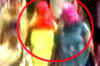 Two arrested in Surat gangrape case