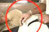 Shiney admits to raping maid: Sources