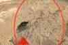 Section of road caves in on BRT corridor, two injured