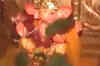 B-town stars celebrate Ganesh Chaturthi