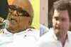 Rahul visits TN, doesn't meet DMK chief