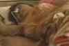 Bodo militants kill 11, injure 9 in Assam