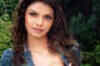 Is Sherlyn the next Rakhi Sawant?
