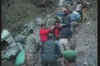Several killed as bus falls into gorge in Himachal