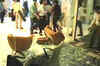 'Shiv Sainiks' ransack TV channel's office in Mumbai