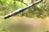 Maoists behead a school teacher in WB