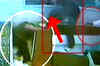 Gunbattle in Agra jewellery store caught on camera