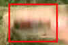 Maoists kill 2 CPM men, abduct 2 cops