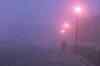 Northern India reels under cold wave