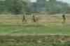 Two cases of Maoist violence witnessed in West Bengal