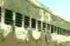 Officials file affidavits before Godhra probe panel