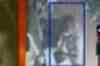 In Hindi: Jewellery shop looted in Kolhapur, Aurangabad