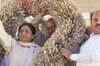 Defiant Maya felicitated with another cash garland
