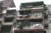 Mumbai man kills 16-year-old girl, shot dead by police
