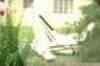 Plane crashes into Florida house 