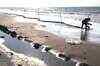 US may 'push BP aside' on Gulf oil clean-up