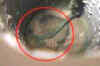 Miraculous escape for 7-year-old boy in China