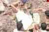 27 pilgrims killed in Gangotri accident