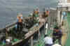 Navy, poachers gun fight on tape