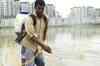 Aus travel advisory warns of dengue outbreak during CWG