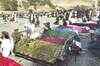 50 dead in Afghanistan roof collapse