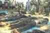 Nine Maoists killed in Chhattisgarh
