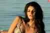 Atul Kasbekar talks about Kingfisher calendar girls