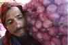 Onion crisis could continue for 3 weeks, says Pawar