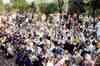 HC turns down Gujjars' plea for special quota in govt jobs