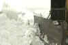 J&K snowfall: Army deployed to clear blocked highway
