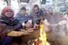 North India reels under cold wave