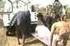 West Bengal: 3 killed in TMC- CPI(M) clashes