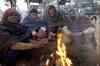North India continues to reel under severe cold