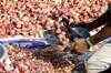 Delhi: Onion prices skyrocket as traders strike