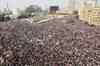 Thousands gather in Egypt's Tahrir square