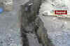 Coal mine collapses in West Bengal