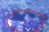Army chopper crashes in Nashik, 2 killed