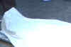 Patna: Kabbadi player shot dead by CRPF jawan