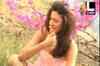 Gauhar Khan's summer photo-shoot!