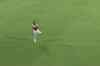 DC vs KXIP: Best catches