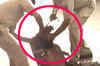 Jhansi: Police brutality caught on camera