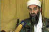 Osama was given shelter by HuJi: Report